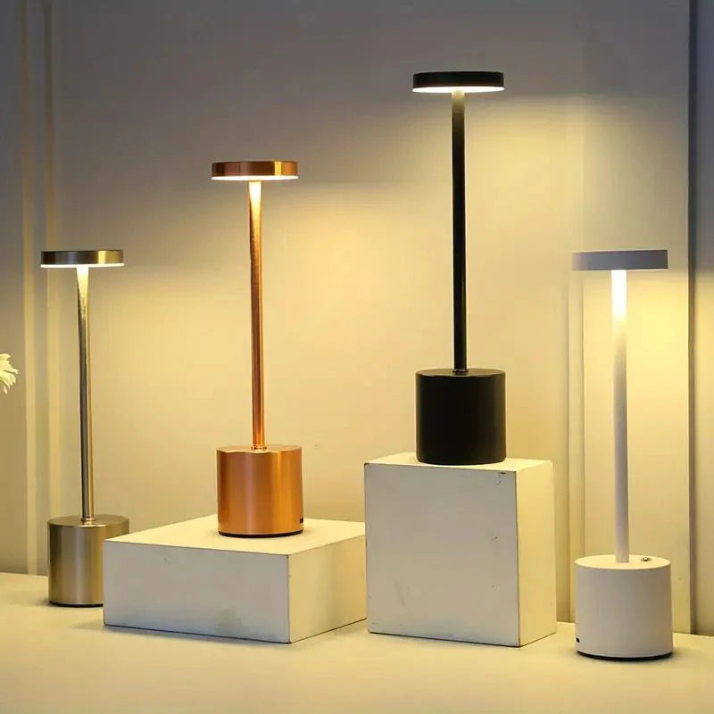 Long Neck Modren Metal Touch Lamp