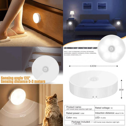 Motion Sensor Light for Home