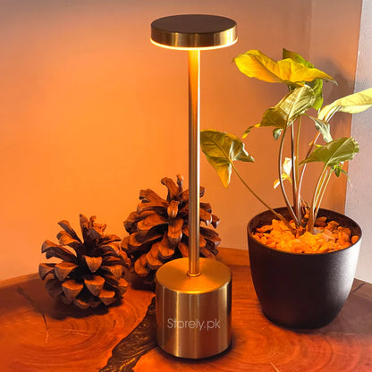 Long Neck Metal Touch Sense LED Lamp – Modern Minimalist Design, USB Rechargeable 3 Dimmable Light Modes - Best for Bedroom, Living Room and Restaurants