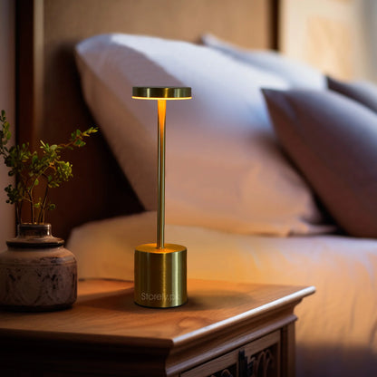 Long Neck Modren Metal Touch Lamp