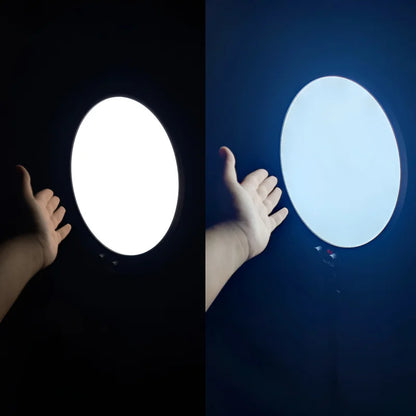 Professional Influencer Light