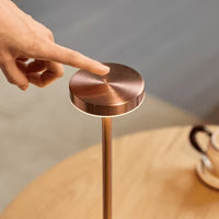 Long Neck Modren Metal Touch Lamp