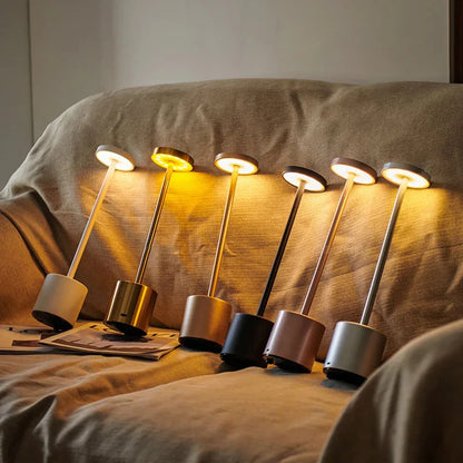 Long Neck Modren Metal Touch Lamp
